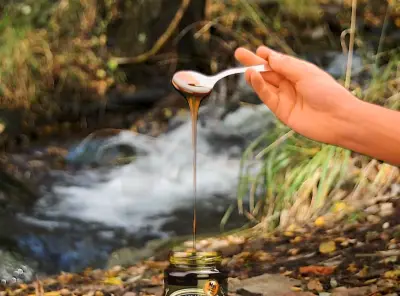 Vídeo Promocional Bolo Lausus